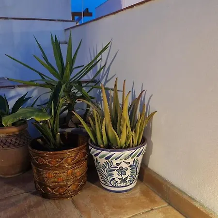Holiday home La Casita Rustica Almunecar